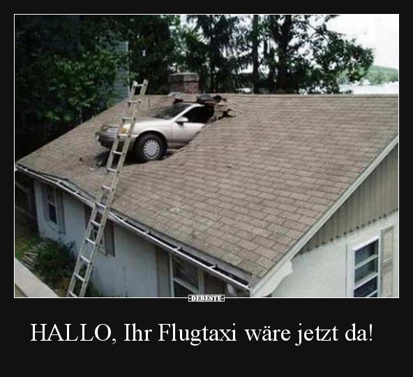 HALLO, Ihr Flugtaxi wäre jetzt da! - Lustige Bilder | DEBESTE.de