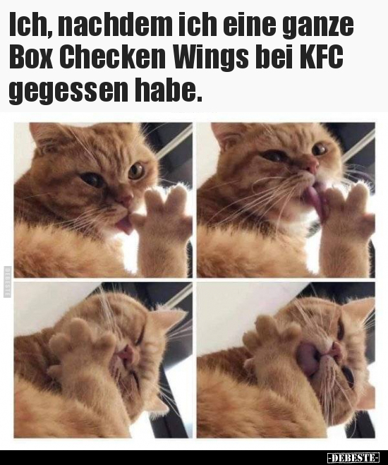 Ich, nachdem ich eine ganze Box Checken Wings bei KFC.. - Lustige Bilder | DEBESTE.de