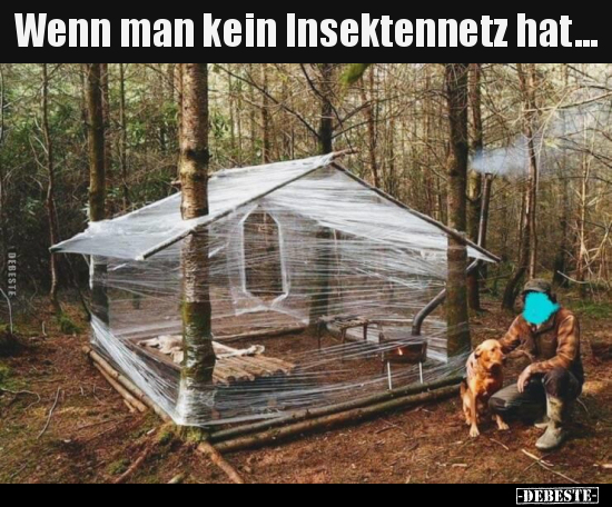 Wenn man kein Insektennetz hat...