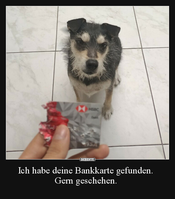 Ich habe deine Bankkarte gefunden. Gern geschehen... - Lustige Bilder | DEBESTE.de