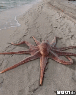 Wo geht es denn hin?