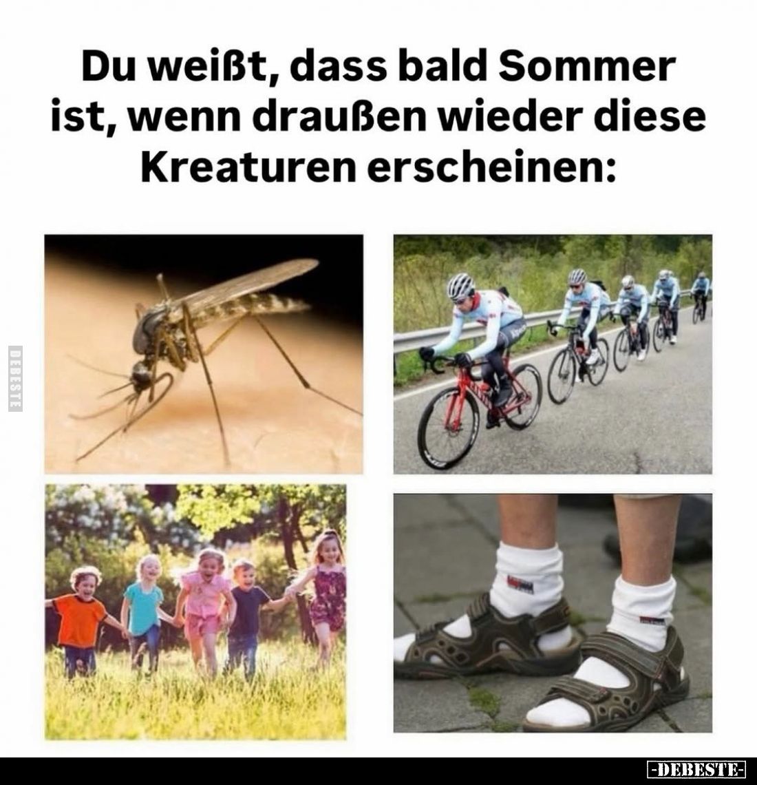 Du weißt, dass bald Sommer ist, wenn draußen wieder diese Kreaturen erscheinen: