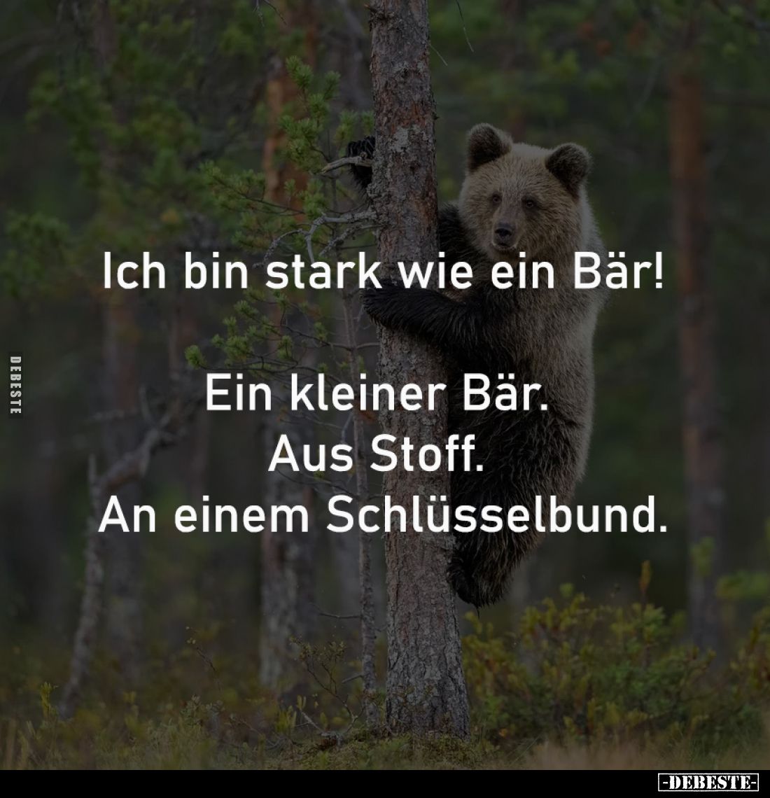Ich bin stark wie ein Bär!.. - Lustige Bilder | DEBESTE.de