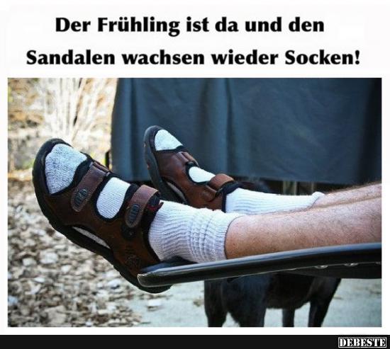Der Frühling ist da und den Sandalen wachsen wieder Socken! - Lustige Bilder | DEBESTE.de