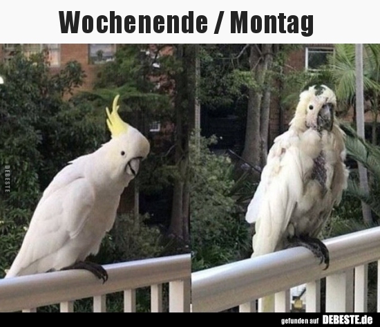 Wochenende / Montag