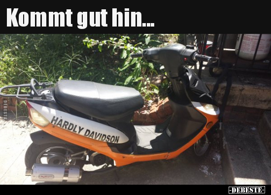 Kommt gut hin...
