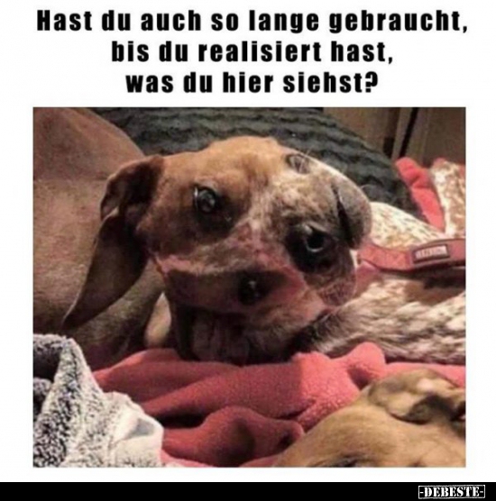 Hast du auch so lange gebraucht, bis du realisiert hast..