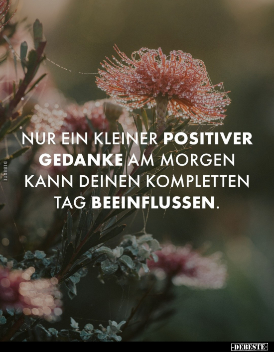 Nur ein kleiner positiver Gedanke am Morgen kann deinen.. - Lustige Bilder | DEBESTE.de