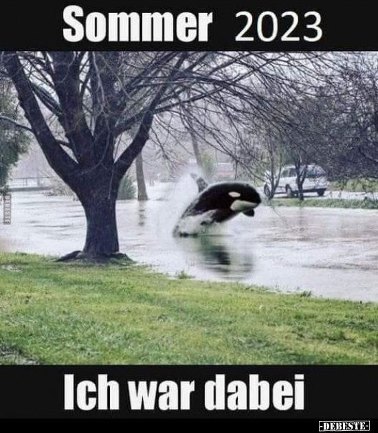 Sommer 2023.. - Lustige Bilder | DEBESTE.de