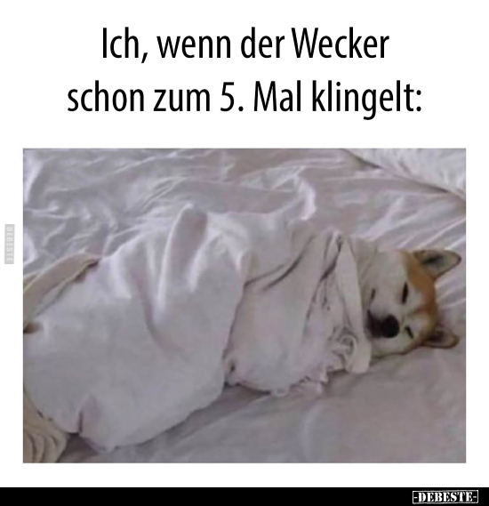 Ich, wenn der Wecker schon zum 5. Mal klingelt..