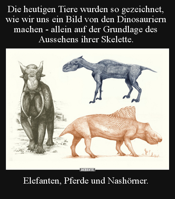 Die heutigen Tiere wurden so gezeichnet, wie wir uns ein.. - Lustige Bilder | DEBESTE.de