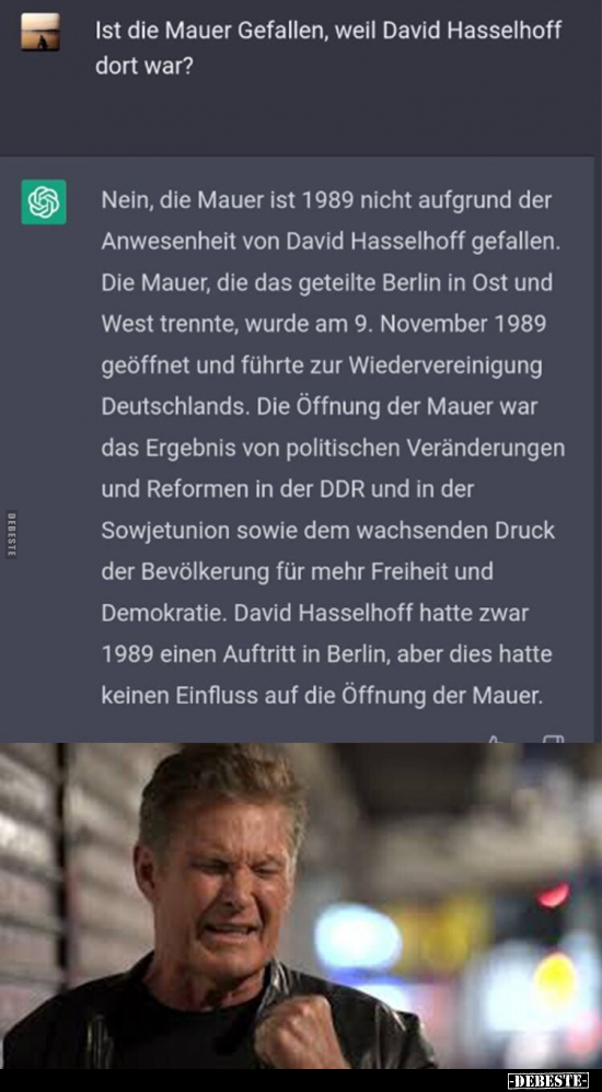 Ist die Mauer Gefallen, weil David Hasselhoff dort war?.. - Lustige Bilder | DEBESTE.de