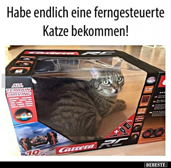 Habe endlich eine ferngesteuerte Katze bekommen!.. - Lustige Bilder | DEBESTE.de