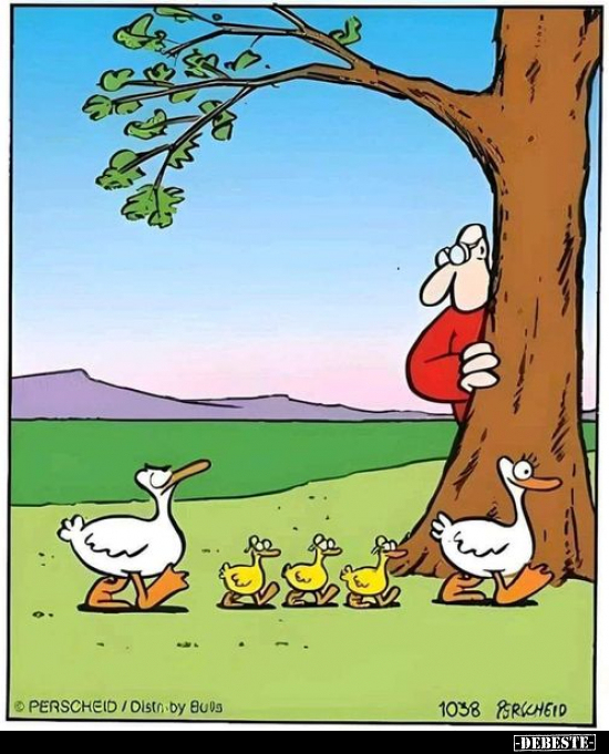  - Lustige Bilder | DEBESTE.de