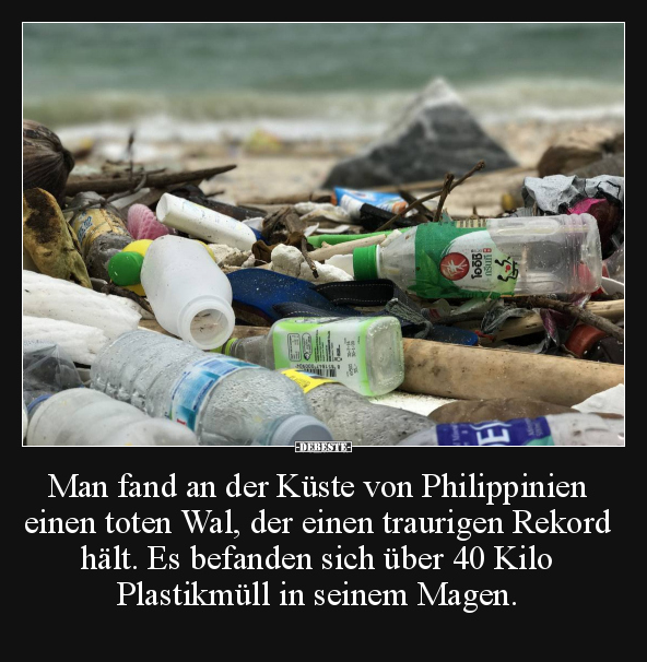 Man fand an der Küste von Philippinien einen toten Wal.. - Lustige Bilder | DEBESTE.de