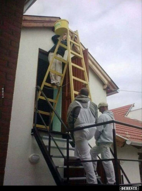  - Lustige Bilder | DEBESTE.de