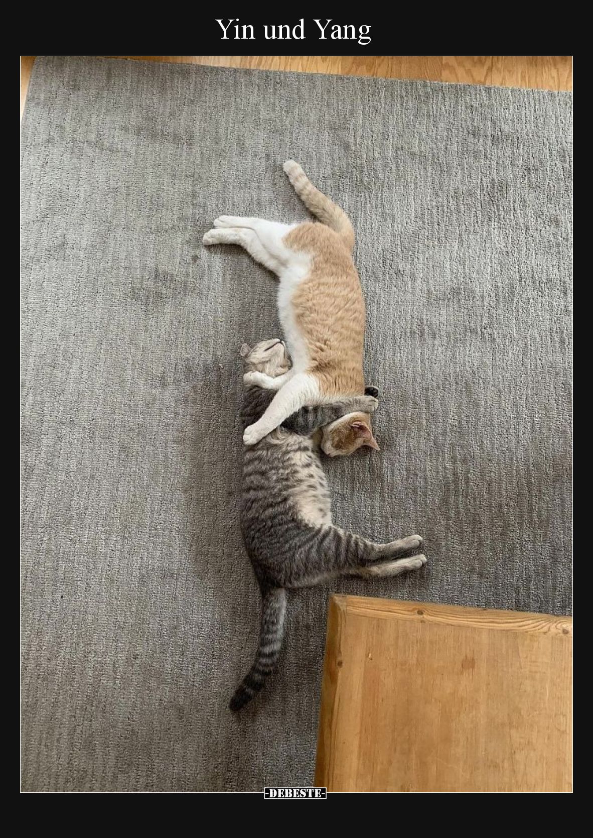 Yin und Yang
