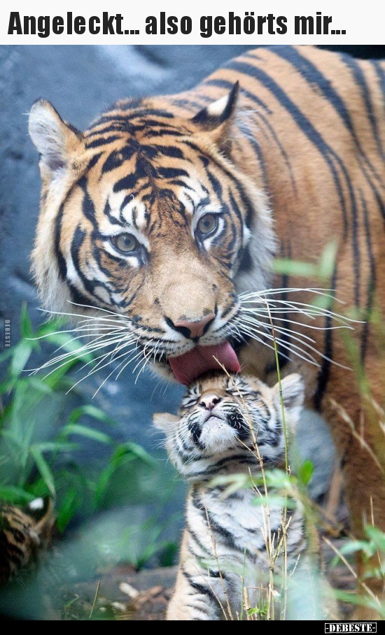Angeleckt... also gehörts mir...