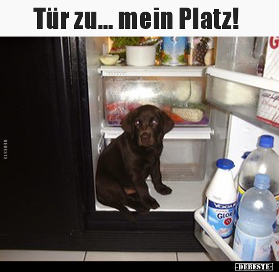 Tür zu... mein Platz!..