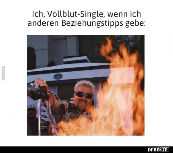 Ich, Vollblut-Single.. - Lustige Bilder | DEBESTE.de