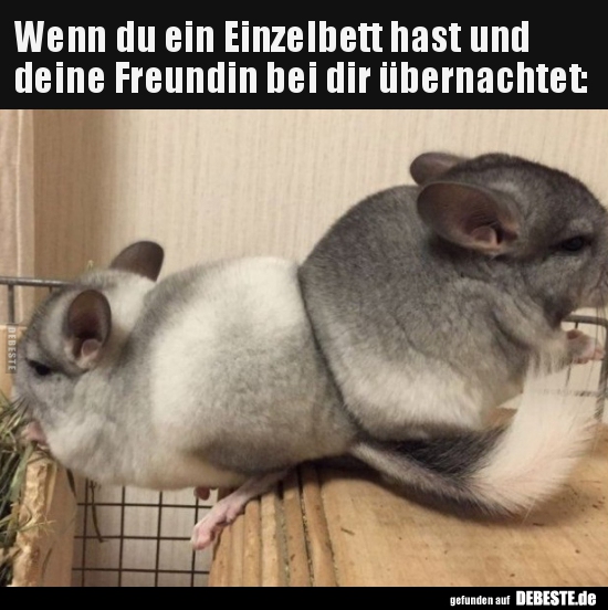 Wenn du ein Einzelbett hast und deine Freundin bei dir..