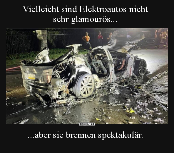 Vielleicht sind Elektroautos nicht sehr glamourös... - Lustige Bilder | DEBESTE.de