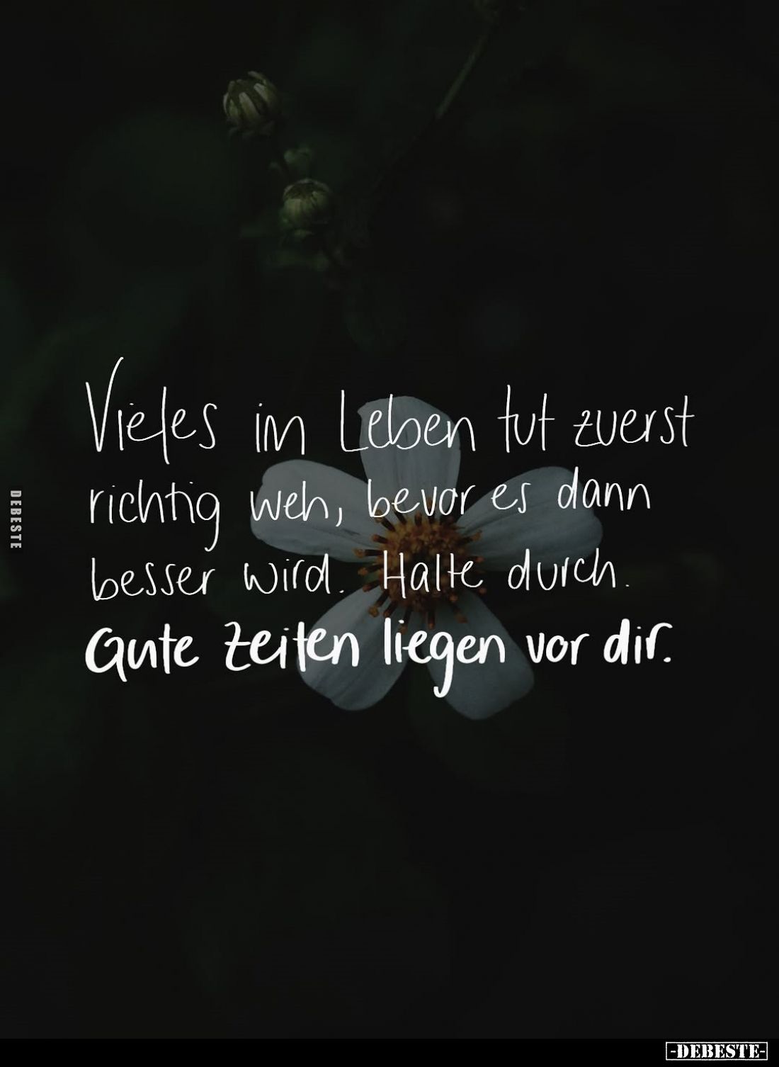 Vieles im Leben tut zuerst richtig weh, bevor es dann besser wird. Halte durch. Gute Zeiten liegen vor dir.