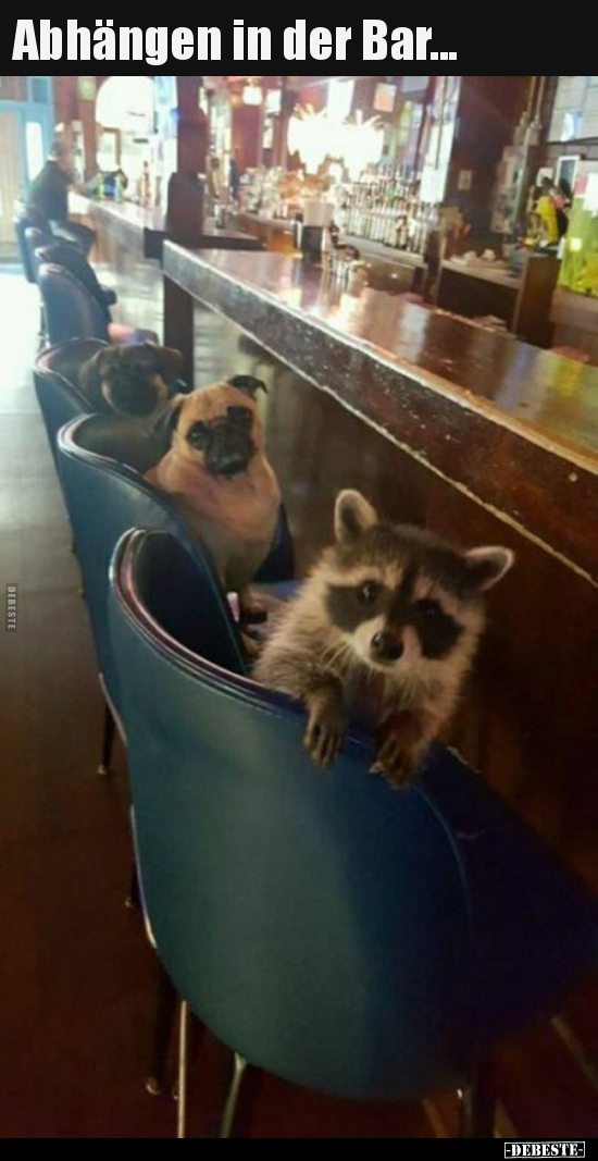 Abhängen in der Bar...