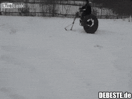  - Lustige Bilder | DEBESTE.de