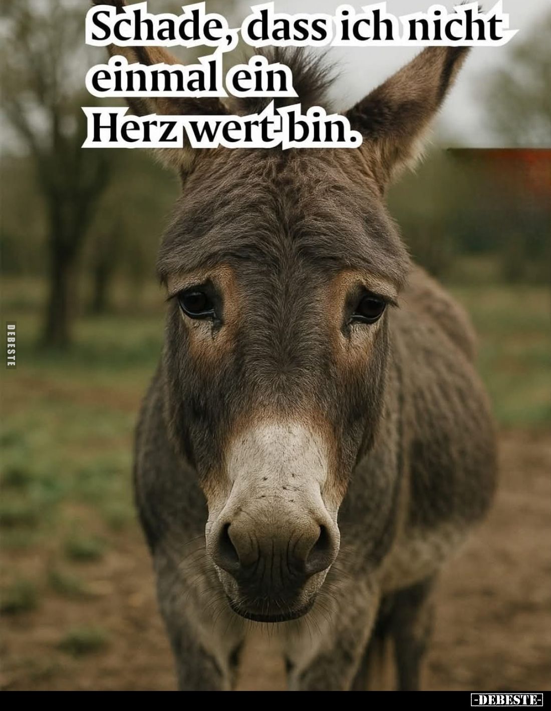 Schade, dass ich nicht einmal ein Herz wert bin.