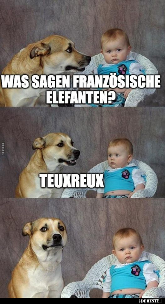 Was sagen französische Elefanten?.. - Lustige Bilder | DEBESTE.de