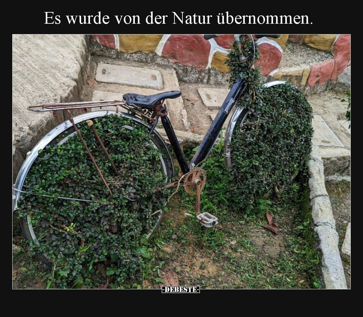 Es wurde von der Natur übernommen.