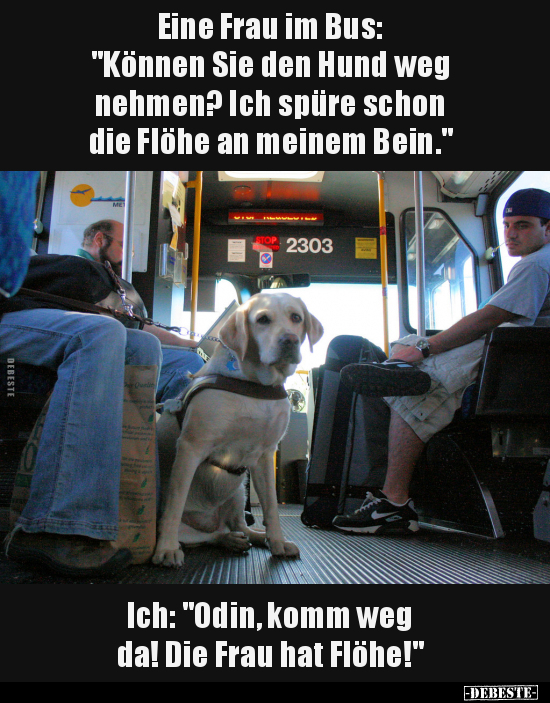 Eine Frau im Bus: "Können Sie den Hund weg nehmen?.." - Lustige Bilder | DEBESTE.de