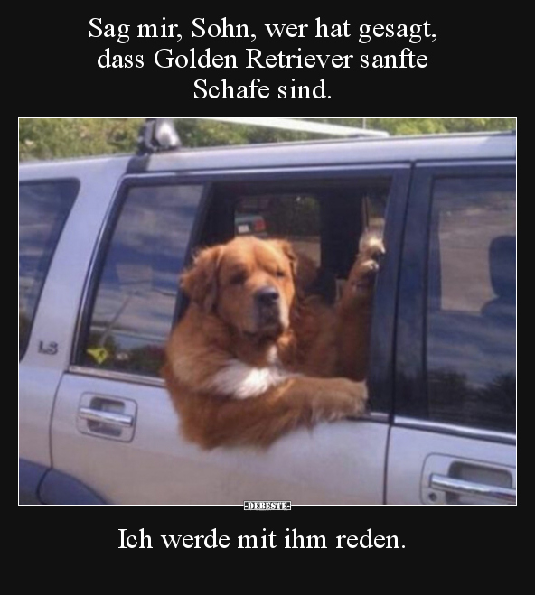 Sag mir, Sohn, wer hat gesagt, dass Golden Retriever sanfte.. - Lustige Bilder | DEBESTE.de