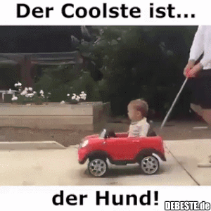 Der Coolste ist... der Hund! - Lustige Bilder | DEBESTE.de
