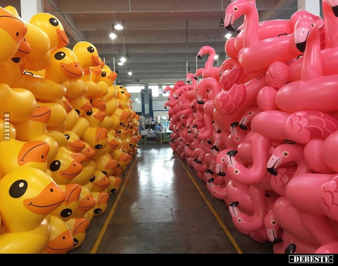  - Lustige Bilder | DEBESTE.de