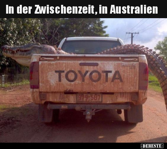 In der Zwischenzeit, in Australien.. - Lustige Bilder | DEBESTE.de