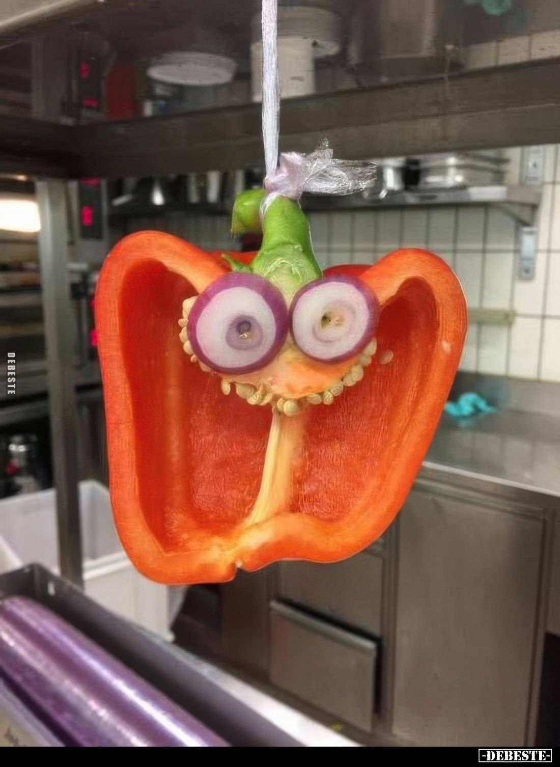  - Lustige Bilder | DEBESTE.de