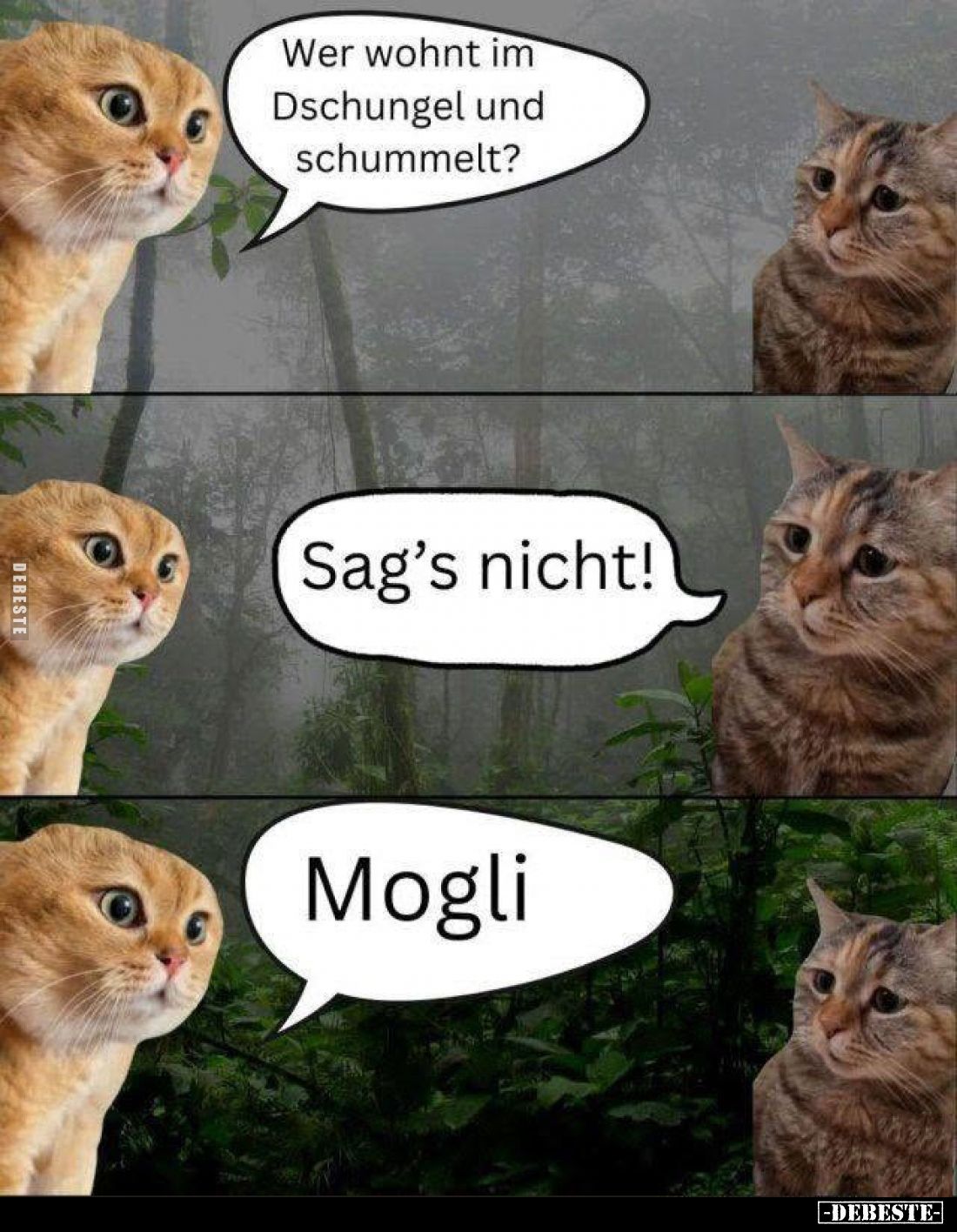 Wer wohnt im Dschungel und schummelt? -
Sag's nicht! -
Mogli.