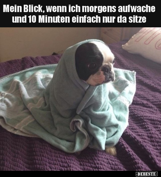 Mein Blick, wenn ich morgens aufwache und 10 Minuten.. - Lustige Bilder | DEBESTE.de