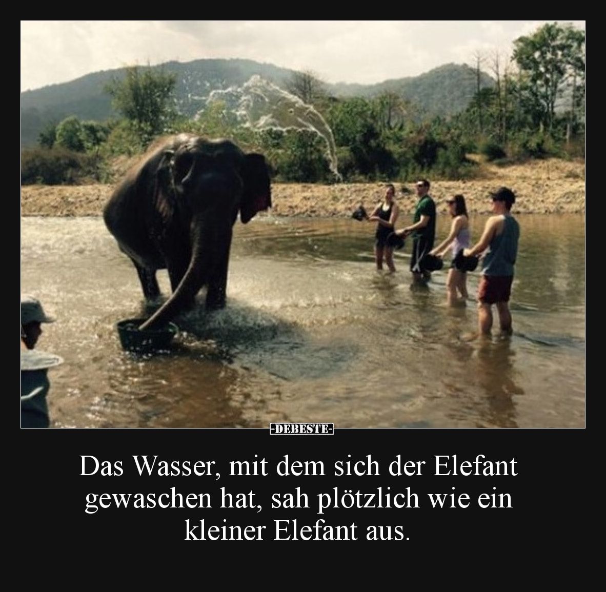 Das Wasser, mit dem sich der Elefant gewaschen hat, sah plötzlich wie ein kleiner Elefant aus.