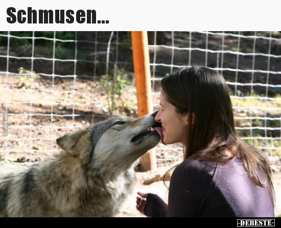 Schmusen...