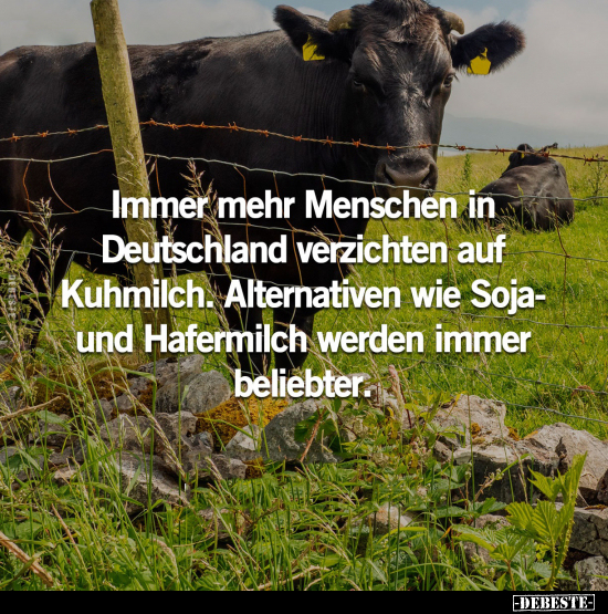 Immer mehr Menschen in Deutschland verzichten auf Kuhmilch... - Lustige Bilder | DEBESTE.de