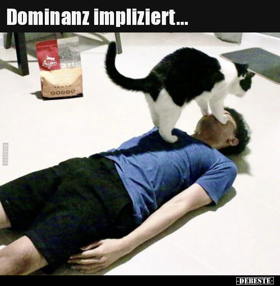 Dominanz impliziert...