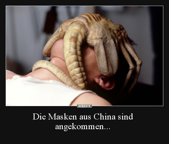Die Masken aus China sind angekommen...