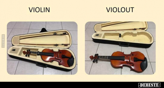 Violin / Violout.. - Lustige Bilder | DEBESTE.de