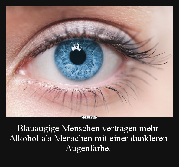 Blauäugige Menschen vertragen mehr Alkohol.. - Lustige Bilder | DEBESTE.de