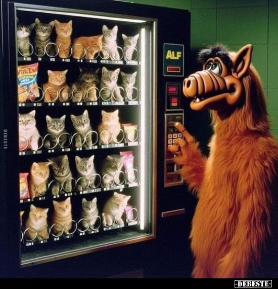  - Lustige Bilder | DEBESTE.de