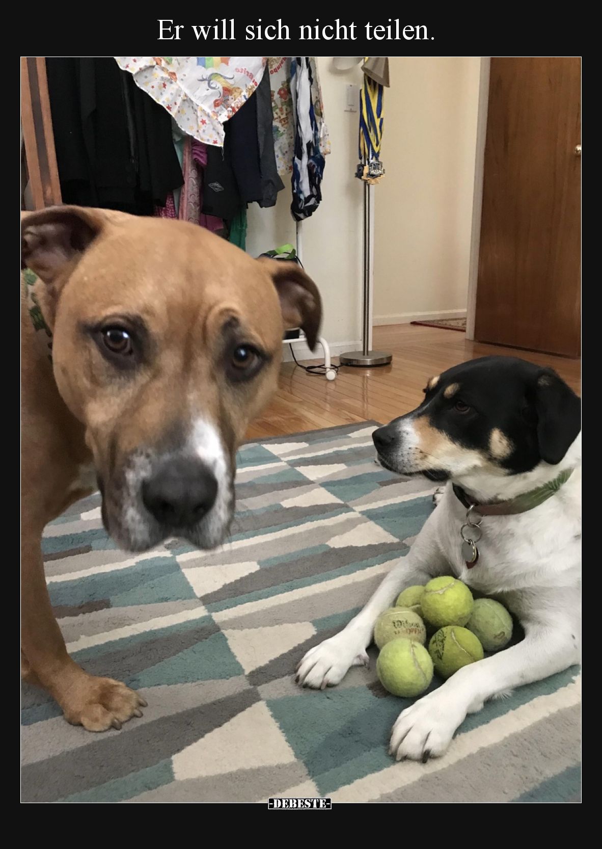 Er will sich nicht teilen.