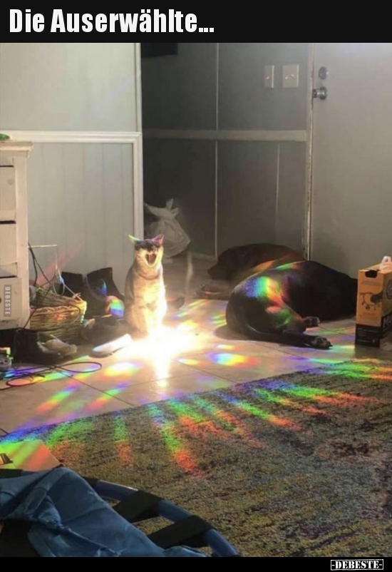 Die Auserwählte...